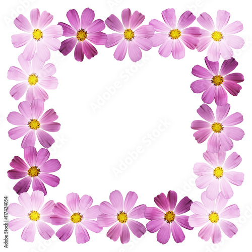 Beautiful summer background of delicate pink flowers 