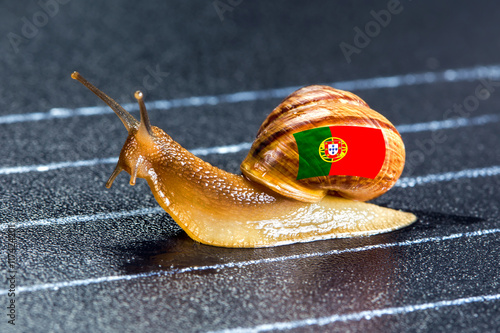 Snail under flag of Portugal on sports track