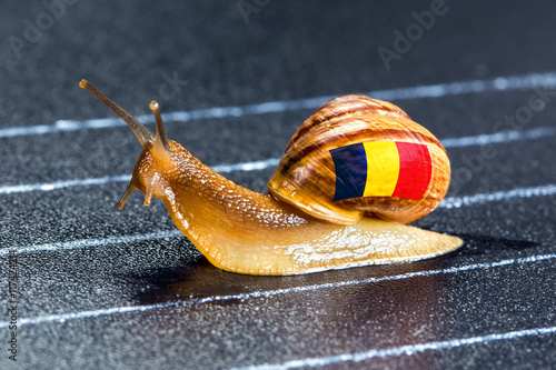 Snail under flag of Romania on sports track