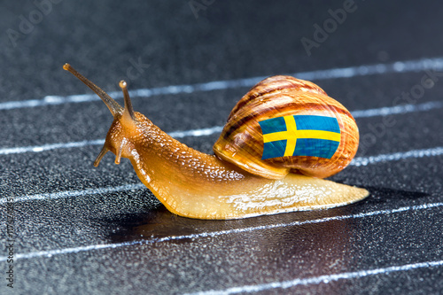 Snail under flag of Sweden on sports track