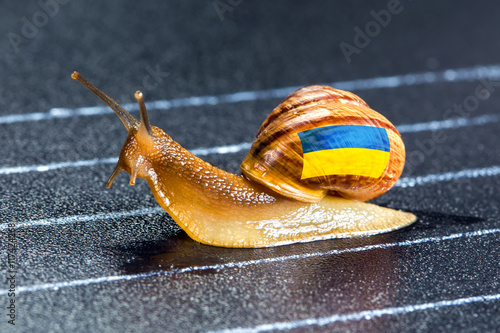 Snail under flag of Ukraine on sports track