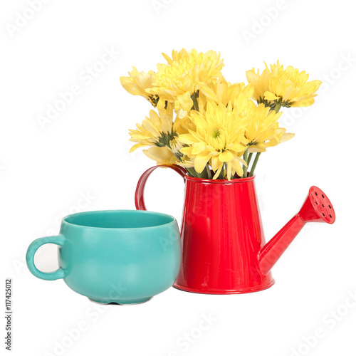 bunch of flowers in the watering pot isolated on white backgroun