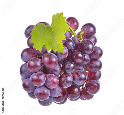 grapes on white background