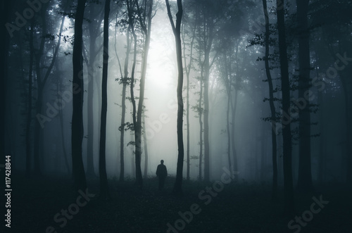 scary forest scene