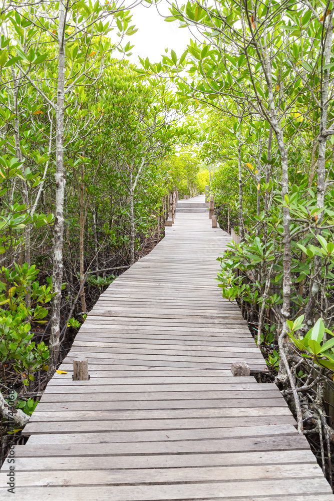 wooden bridge walkway in mangrove forest, Thung Prong Thong, Ray