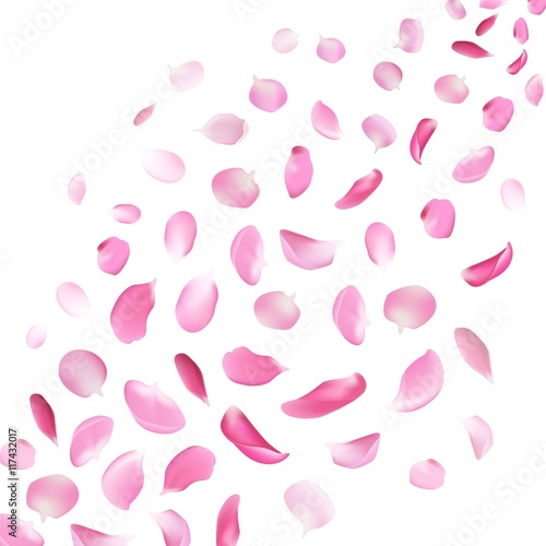 Petals of cherry blossom