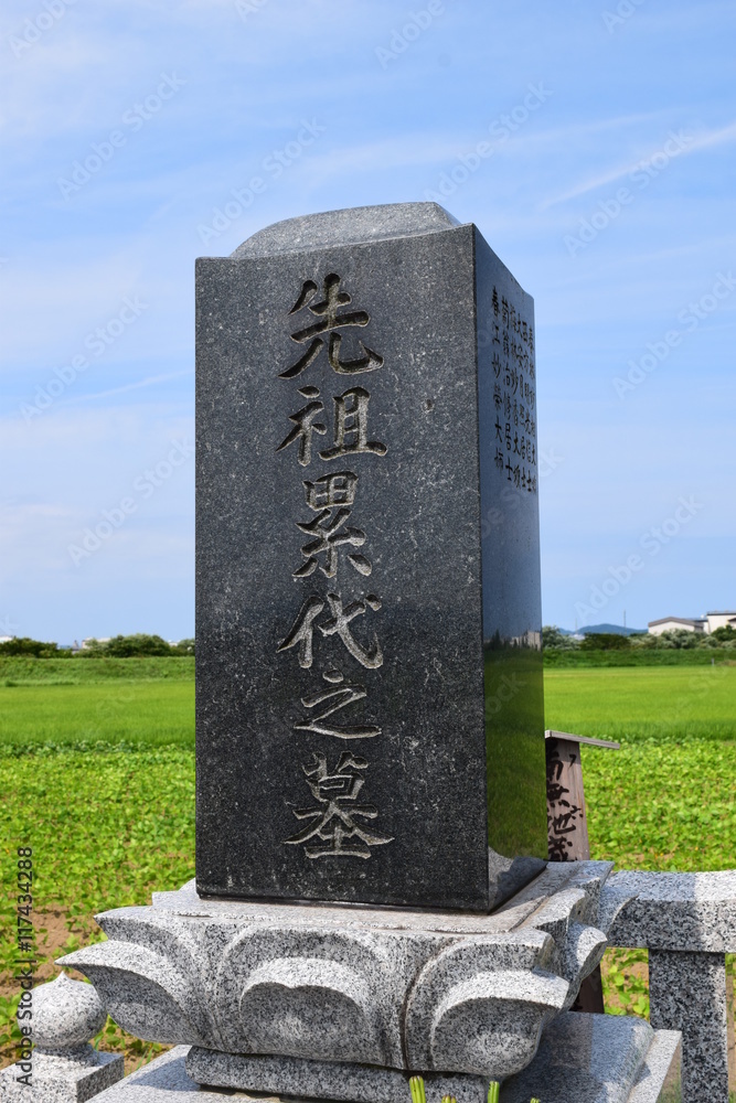 Fototapeta premium お墓の風景