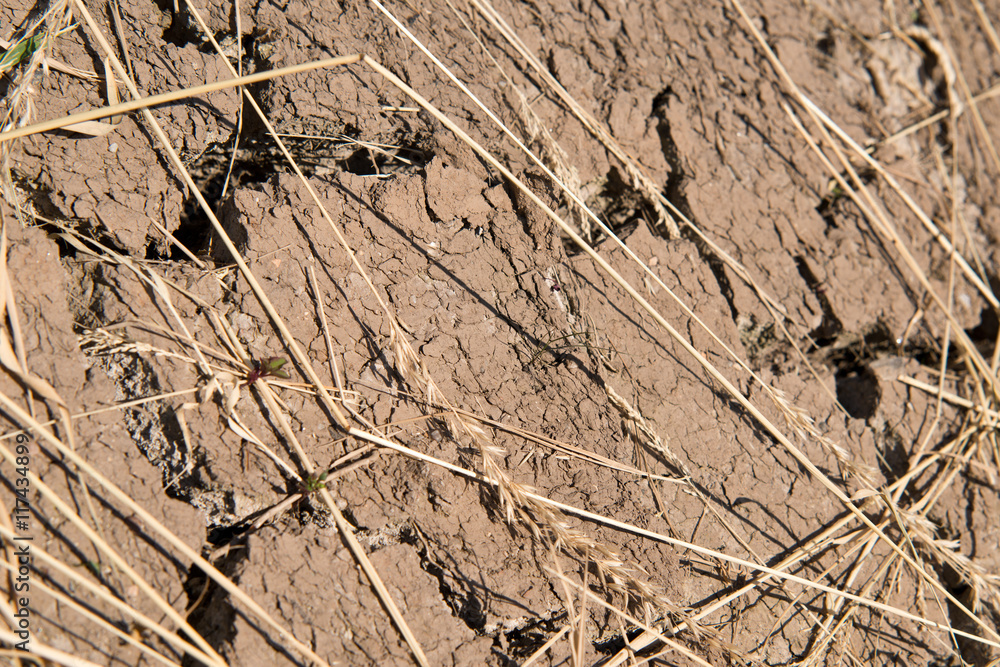 detail of dry soil detail of dry soil