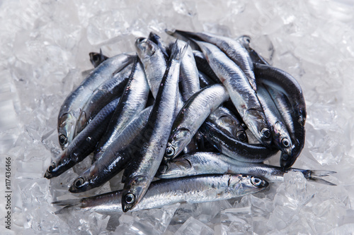 fresh raw fish anchovy on ice seafood photo