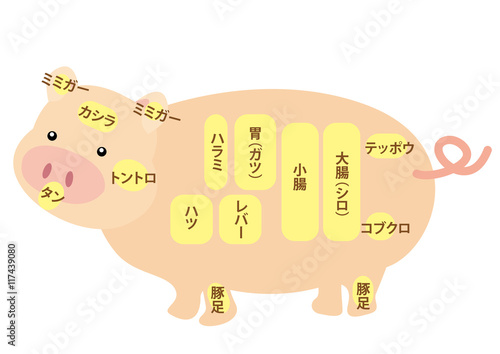 豚肉　内臓部位の名称