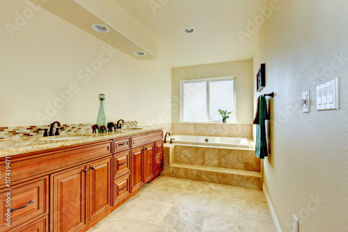 Elegant bathroom interior with large cabinet and two sinks.