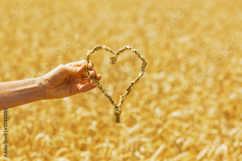 Herz im Kornfeld