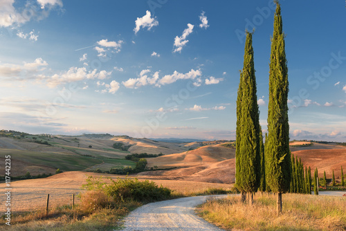 Beautiful picturesque view of the road and cypress trees. photo