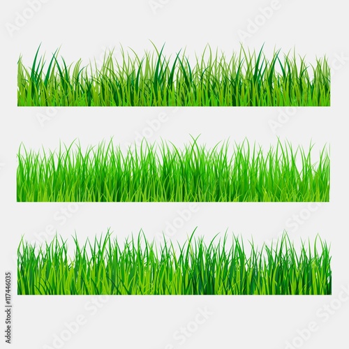 Green grass borders