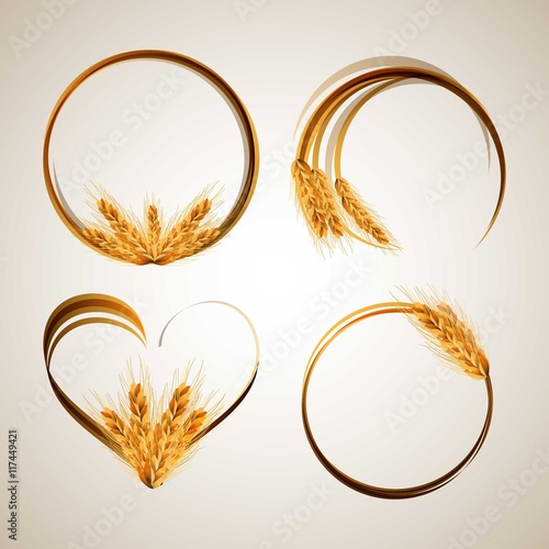 Wheat ear frames