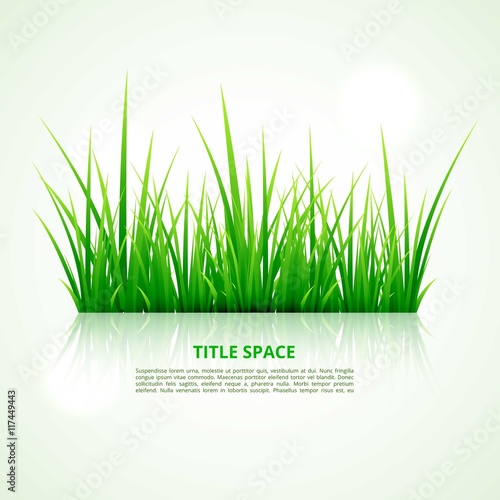 Green grass template