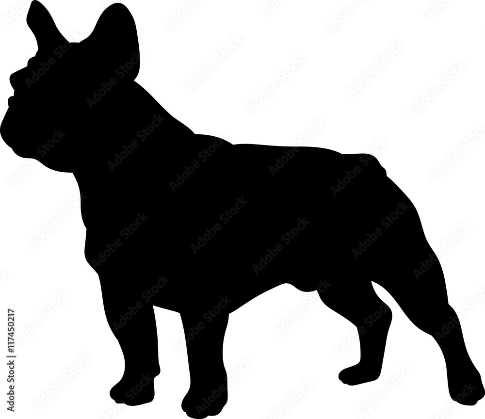 French bulldog vector silhouette - obrazy, fototapety, plakaty 