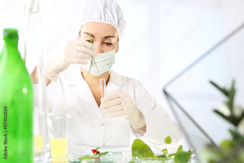 Biotechnolog bada próbki roślin w laboratorium Biotechnolog bada próbki roślin w laboratorium