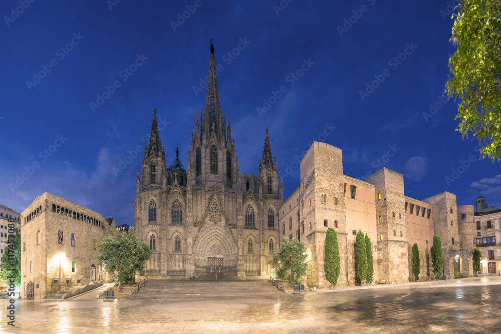 Spain, Barcelona, Cathedral in the evening Spain, Barcelona, Cathedral in the evening