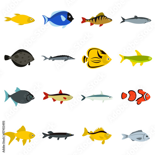 Flat fish icons set. Universal fish icons to use for web and mobile UI, set of basic fish elements isolated vector illustration