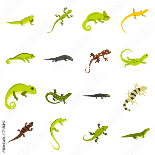 Flat lizard icons set. Universal lizard icons to use for web and mobile UI  set of basic lizard elements isolated vector illustration