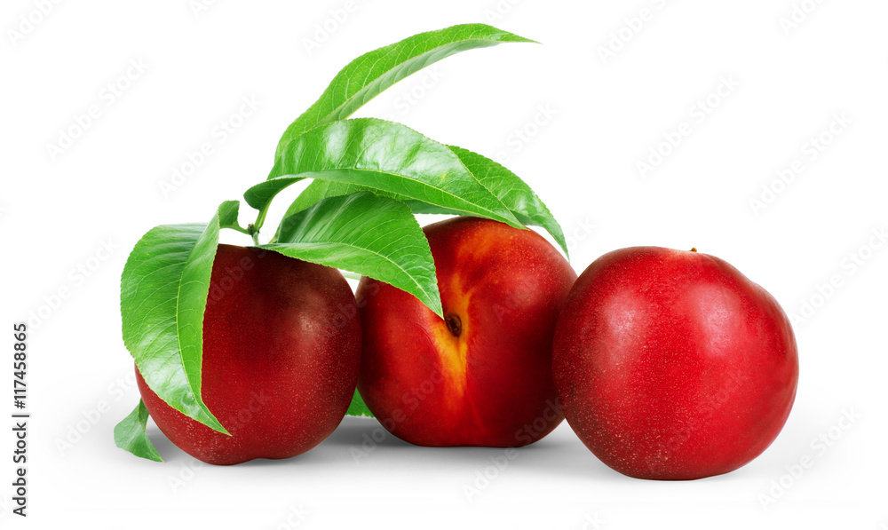 Nectarine organic fruits with leaves on white background. Nectarine organic fruits with leaves on white background.