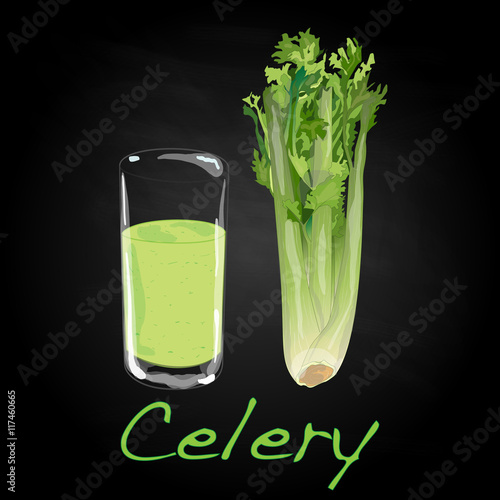 Celery vector illustration