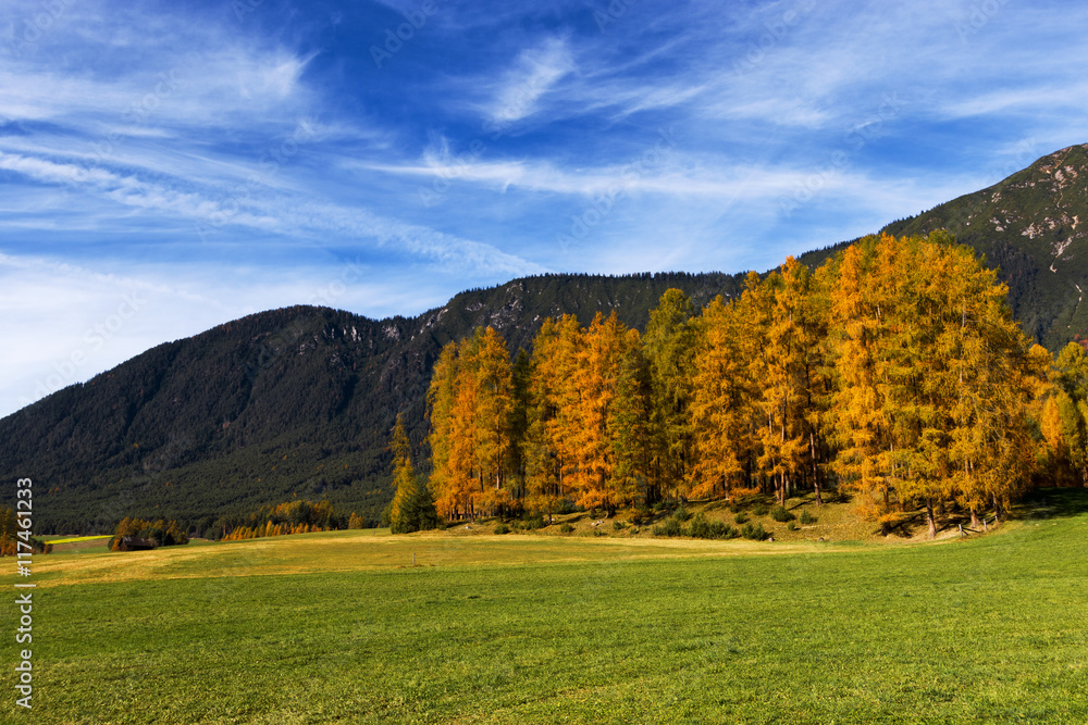 Autumn landscape with colorful larch trees. Mieminger Plateau, Austria, Tyrol.