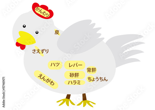 鶏肉　内臓部位の名称