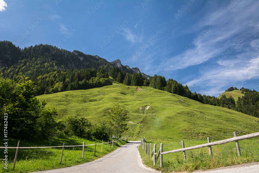 Die Natur in den Bergen in der Schweiz