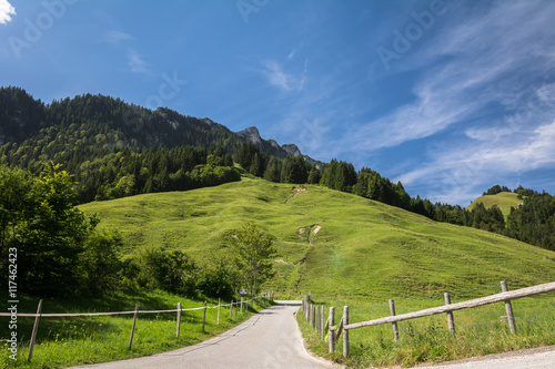 Die Natur in den Bergen in der Schweiz