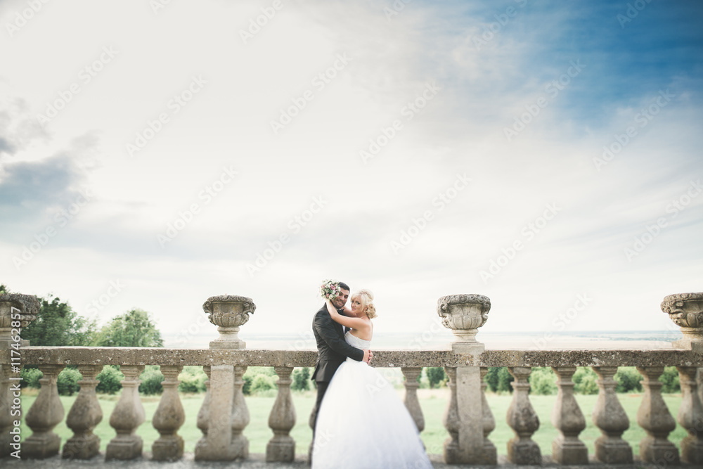 Happy wedding couple hugging and kissing on background old castle