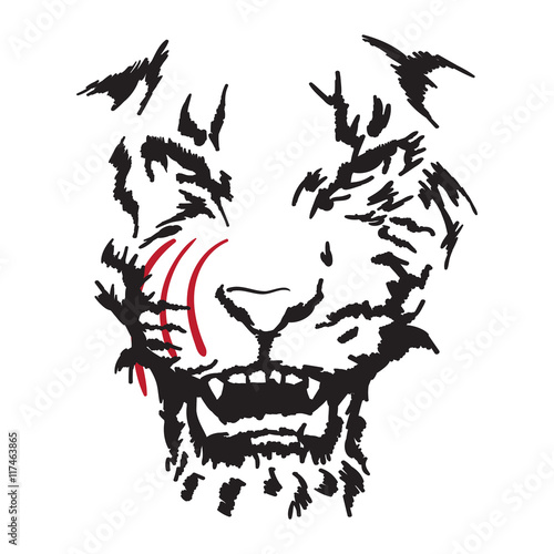 feline fangs, warning of danger