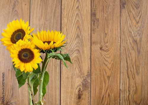 Sunflowers against a wooden backdrop