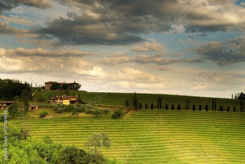 Colli orientali del Friuli Venezia Giulia (Italia)