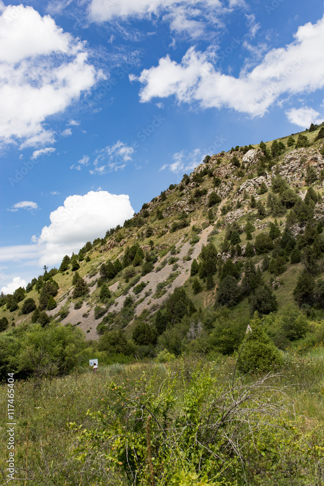 Nature in the mountains of Kazakhstan