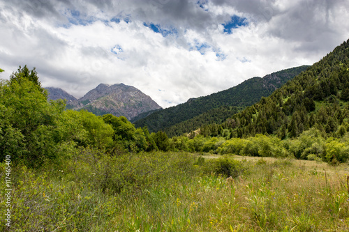 Nature in the mountains of Kazakhstan © schankz