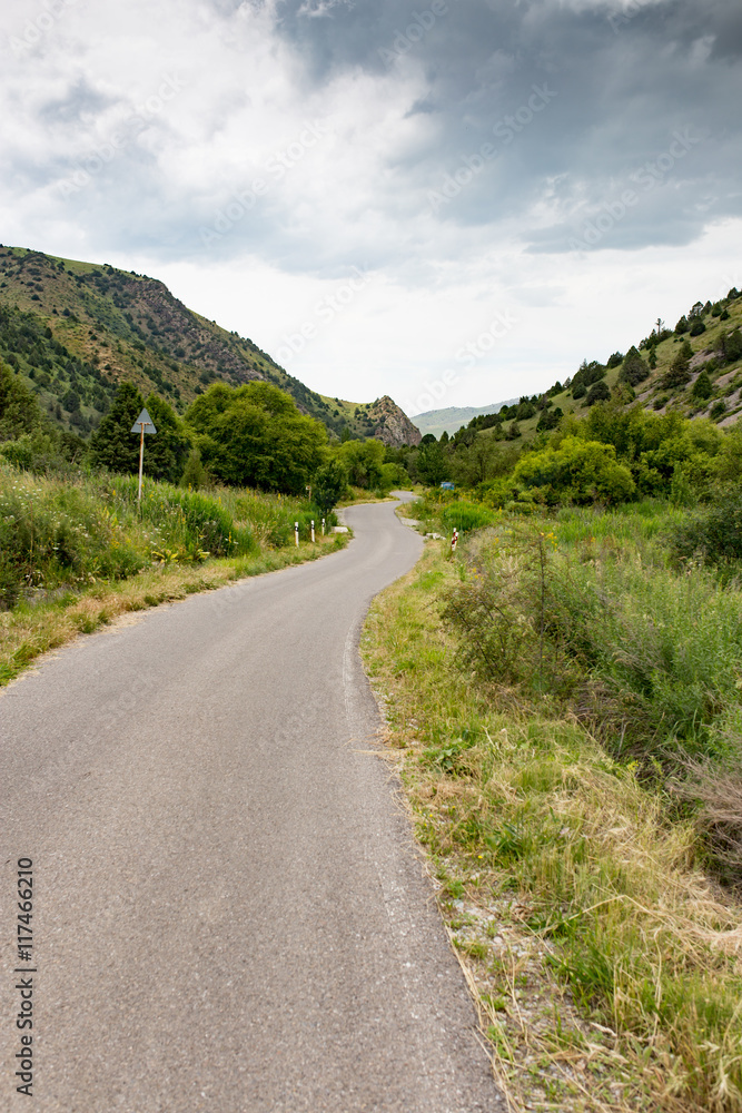 asphalt road in nature