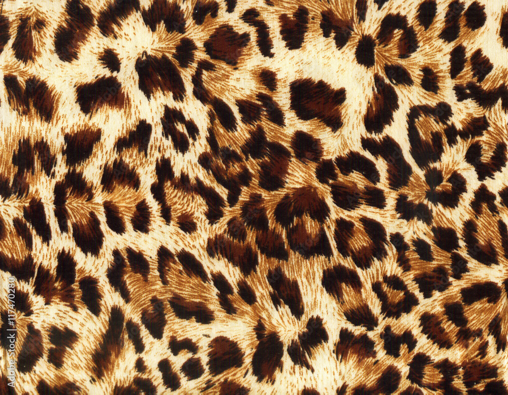 Obraz premium leopard backgrounds pattern