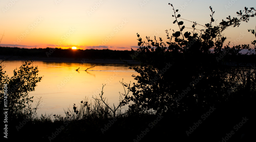 Fototapeta premium tree silhouette on the river on a sunset background