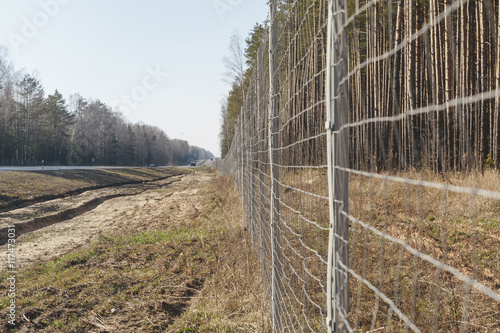 Protective mesh on the side of road from wild animals