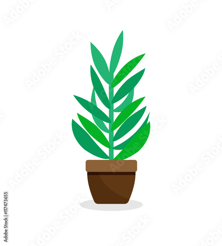 Green indoor plant in pot - flat illustration on white background. House Plant - Isolated vector Icon.