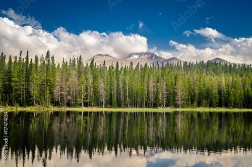 Fototapeta Naklejka Na Ścianę i Meble -  Landscape of mountains and forest reflected in a lake.
