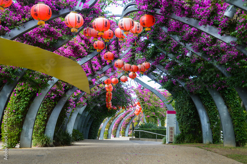 Park walk path with flowers in Southbank, Brisbane photo