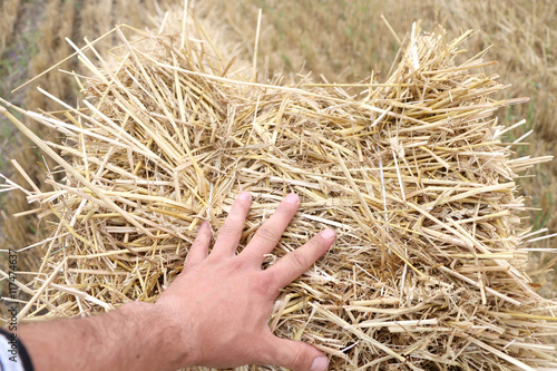 strong male hand holding a pressed bale,