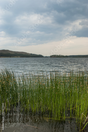 Coast of the big lake