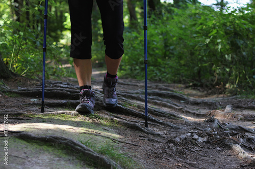 A young woman with hiking boots and walking stick goes on a forest trail 