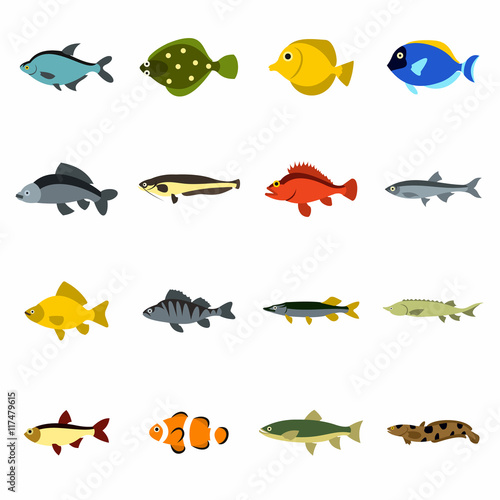 Flat fish icons set. Universal fish icons to use for web and mobile UI, set of basic fish elements isolated vector illustration