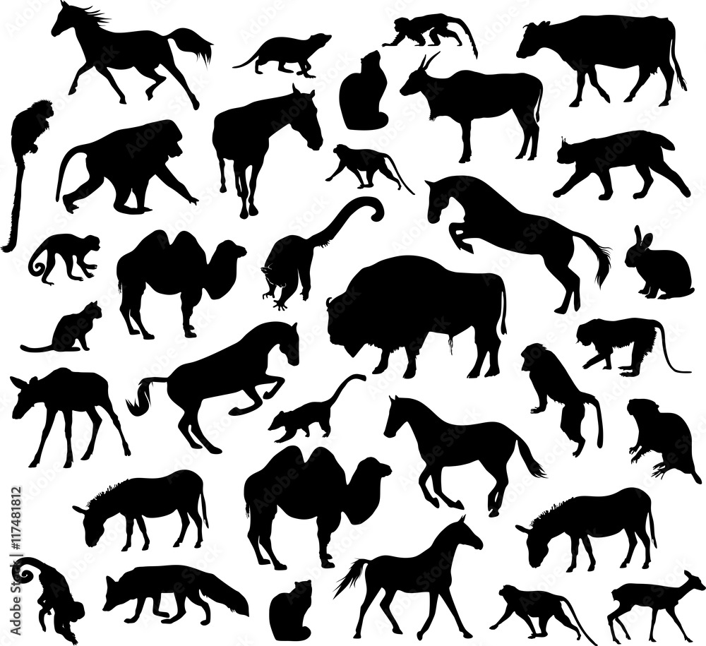 Fototapeta premium Sylwetki zwierząt