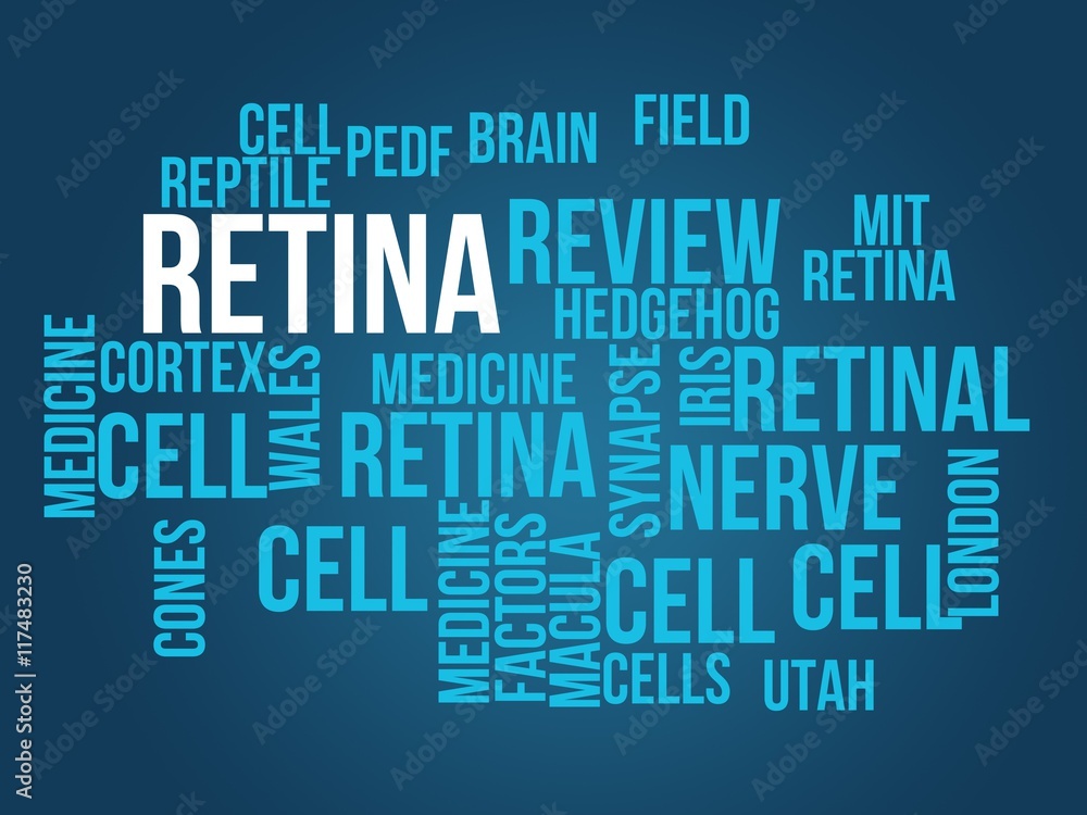 retina retina